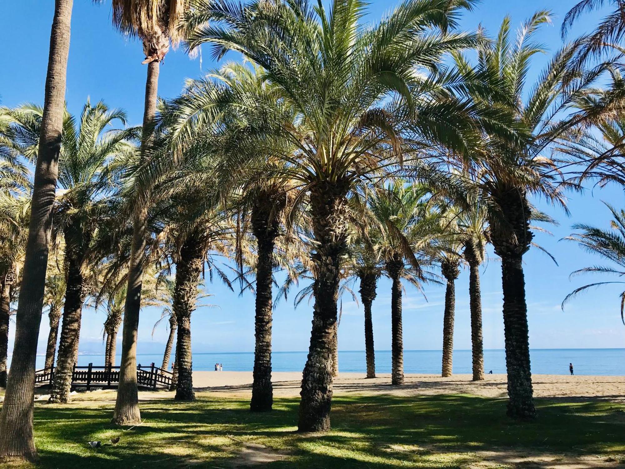 Frente Al Mar Torres De Playamar En Appartamento